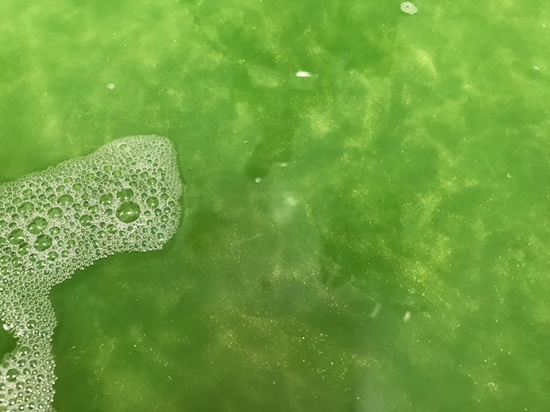  LUSH 러쉬 입욕제