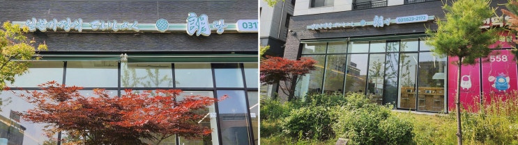  [맛집리뷰] 다산맛집 테이쇼쿠랑, 깊고 풍부한 일본 정식의 매력