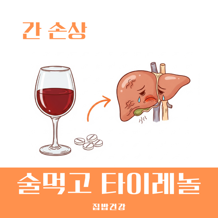 술먹고 타이레놀 시간 숙취 두통 잡으려다 간 손상 얻을 수도