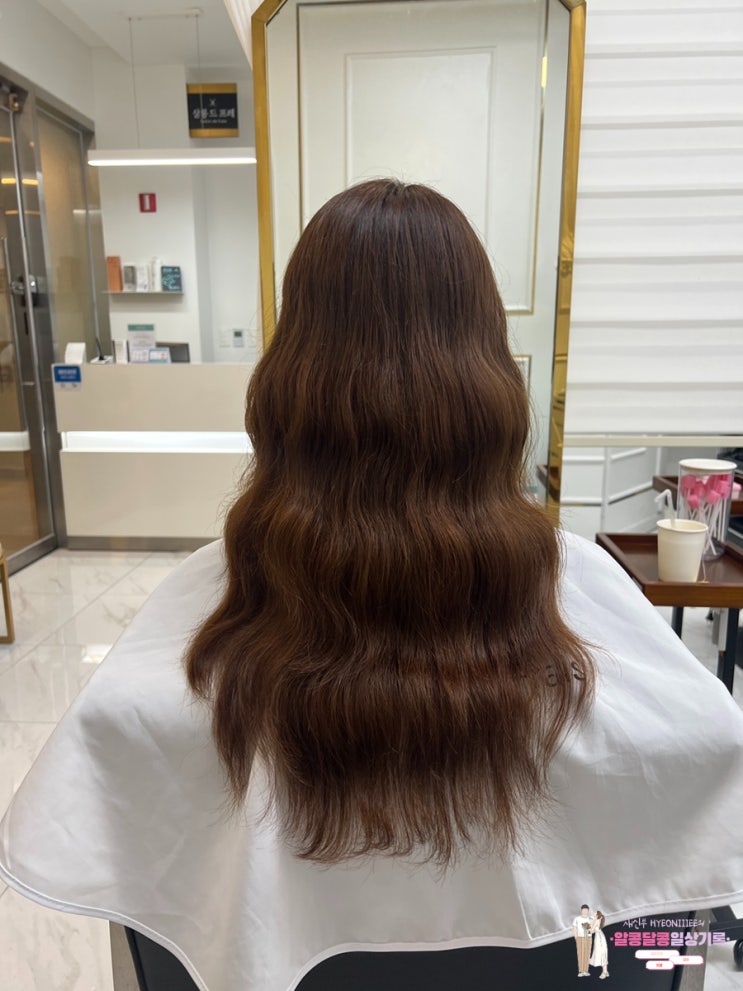  삼성역미용실 '살롱 드 프레' 민지 수석 디자이너 선생님께 르미네상스 클리닉 받고 왔어요!