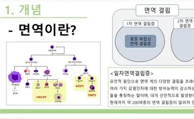중증 복합 면역 결핍증(SCID)
