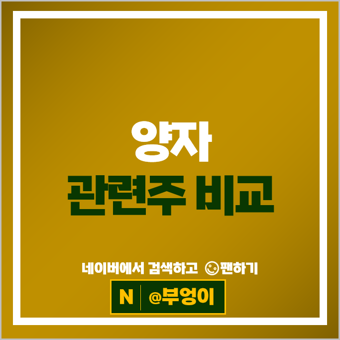 양자 컴퓨터 관련주 LG유플러스 KT 드림시큐리티 주가 아톤 주식 양자 컴퓨터 관련주 LG유플러스 KT 드림시큐리티 주가 아톤 주식