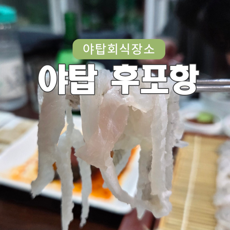  야탑회식장소 딱인 룸 횟집 후포항에서 세꼬시 뇸뇸