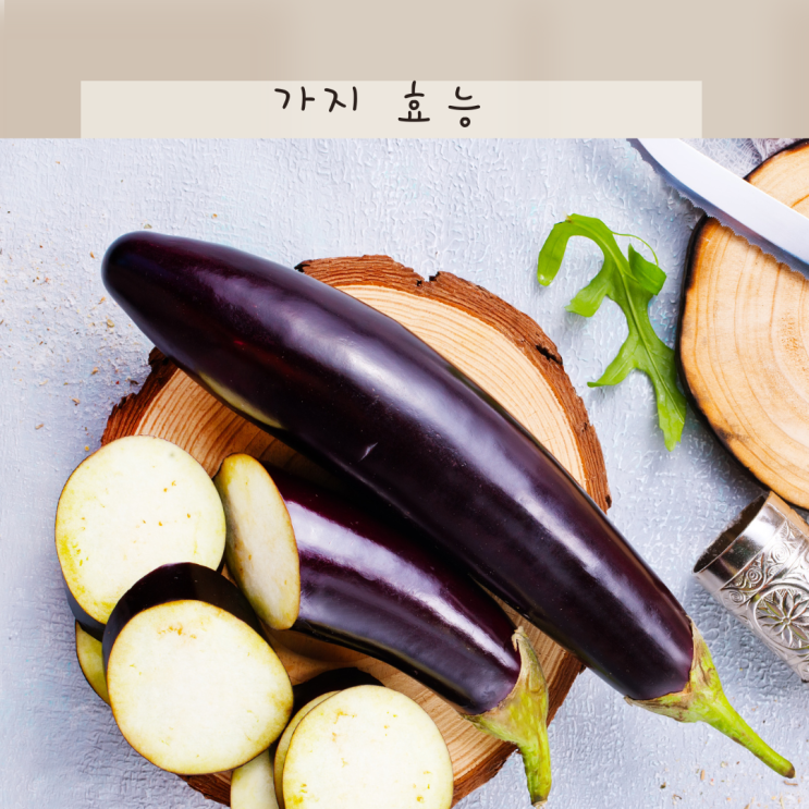 가지 효능 껍질까지 보약? 콜레스테롤 체중관리에도 딱이죠