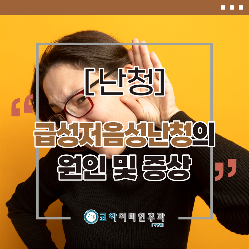 [난청] 급성저음성난청의 원인 및 증상