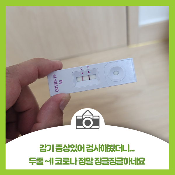  감기 증상있어 검사해봤더니 두줄~!! 코로나 정말 징글징글하네요