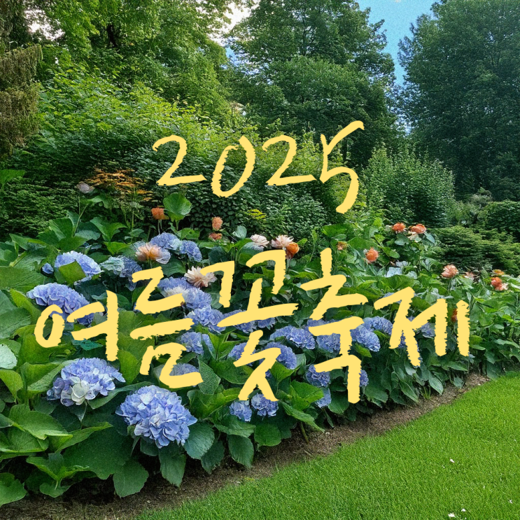  2025 국내 여름 꽃 축제 정보! 내가 가고 싶어서 만든 리스트ㅣ수국, 연꽃, 해바라기,  능소화
