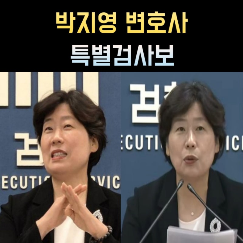 박지영 특별검사보 프로필, 나이 고향 학력 경력 변호사 법불아귀