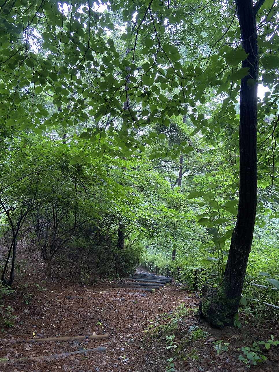 분저재 옛길 사진 5