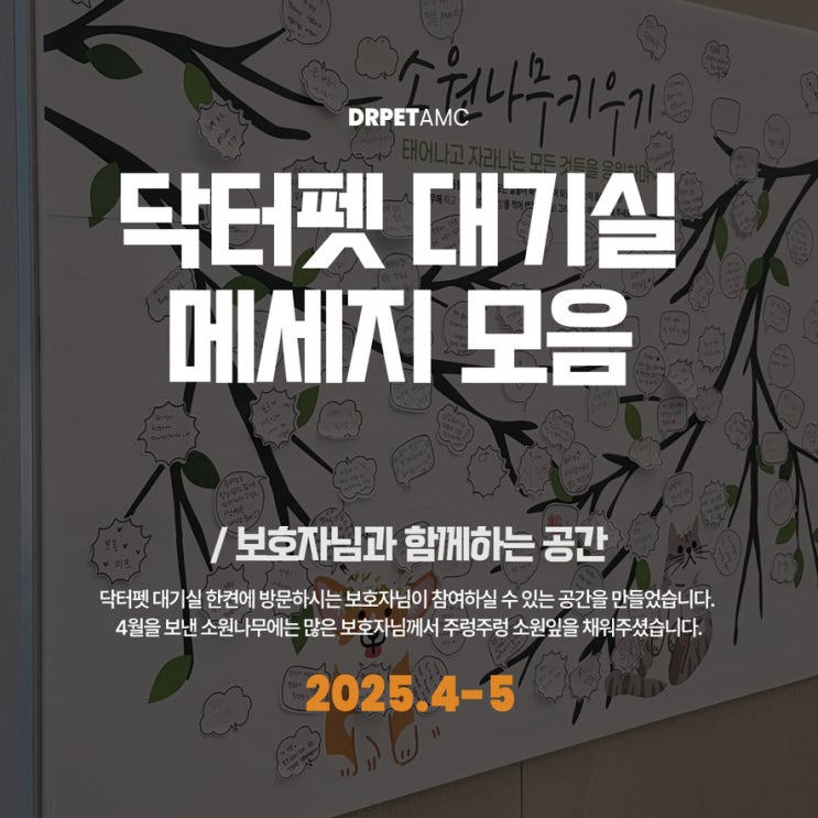  닥터펫동물의료센터 대기실 소원나무 메세지 모음 2025년 4월 부산 개금 24시 동물병원