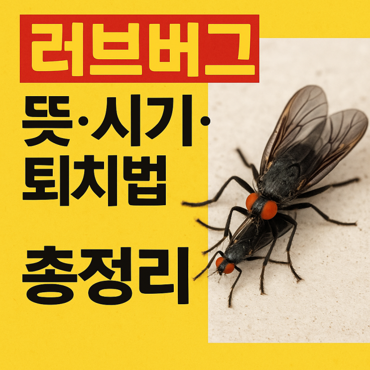  이 시기에 찾아오는 러브버그 벌레와 퇴치 알아볼까요