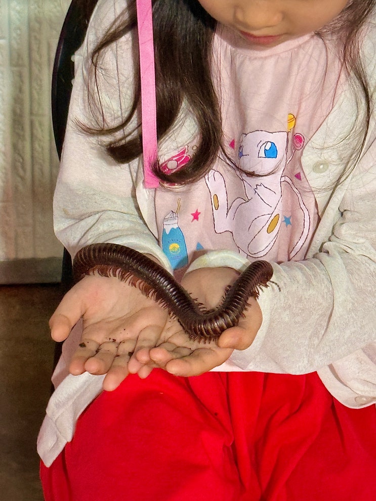  포항 비오는날 실내 체험학습 아이와 가볼만한 곳