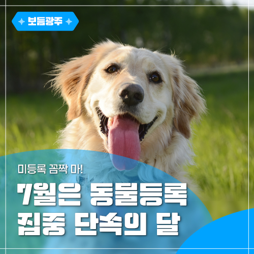 <b>미등록</b> 꼼짝 마! 7월은 <b>동물</b>등록 집중 <b>단속</b>의 달!
