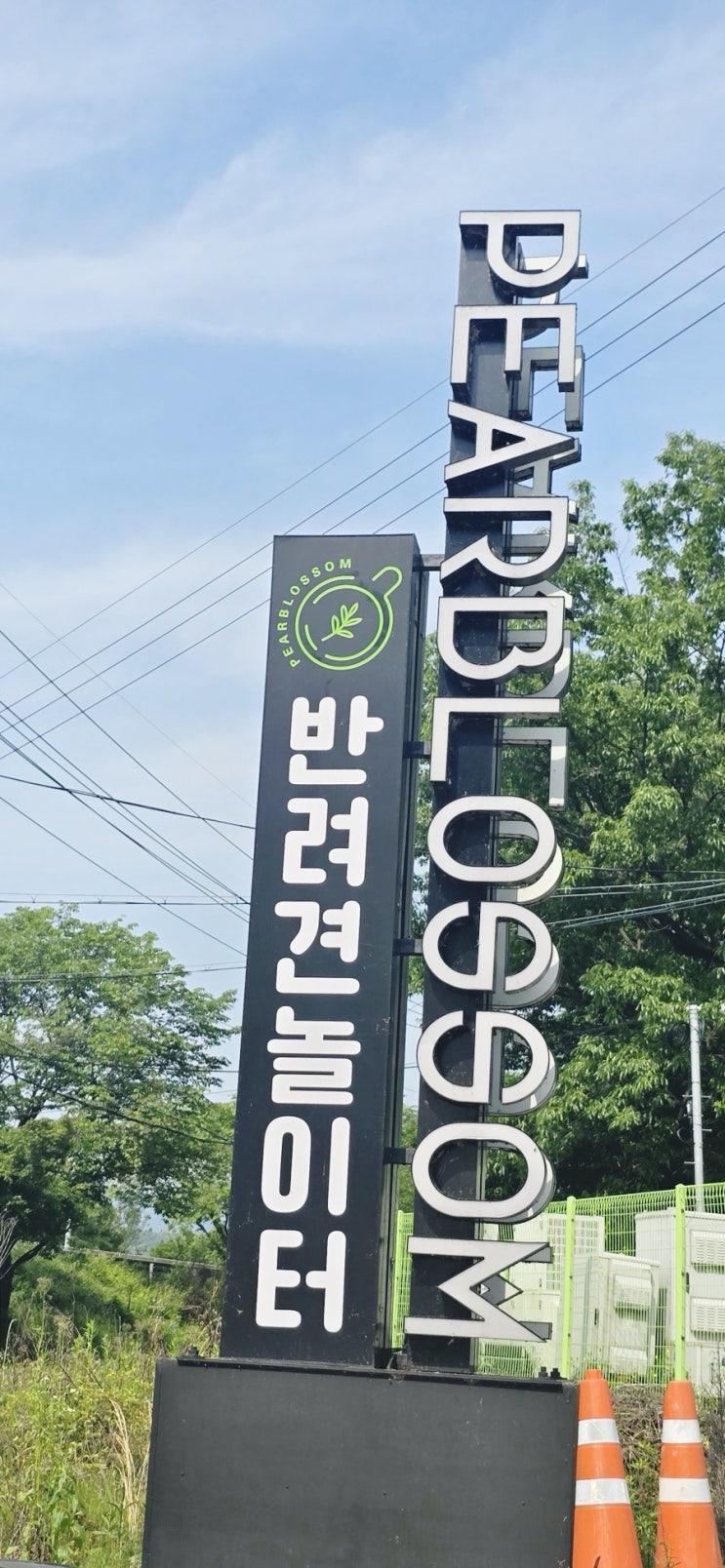 강아지랑 함께 힐링! 전주 반려견 동반카페 페블라썸 반려견 놀이터