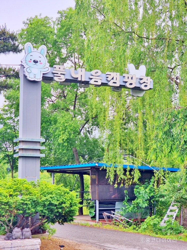 사진 7
