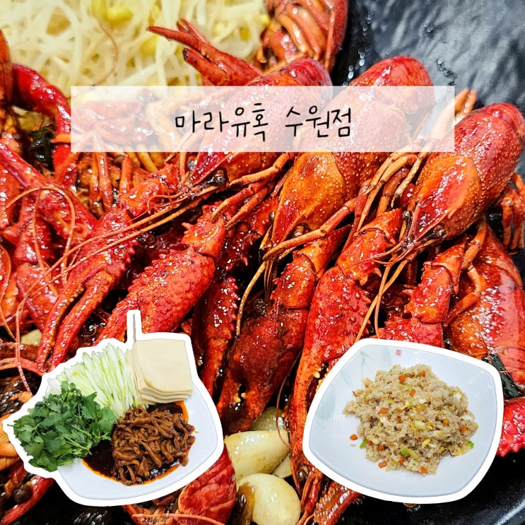  수원역 마라룽샤 맛집 회식장소로 좋은 마라유혹