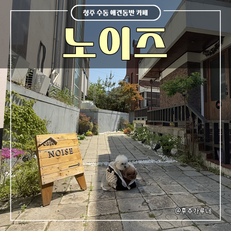 사진 3