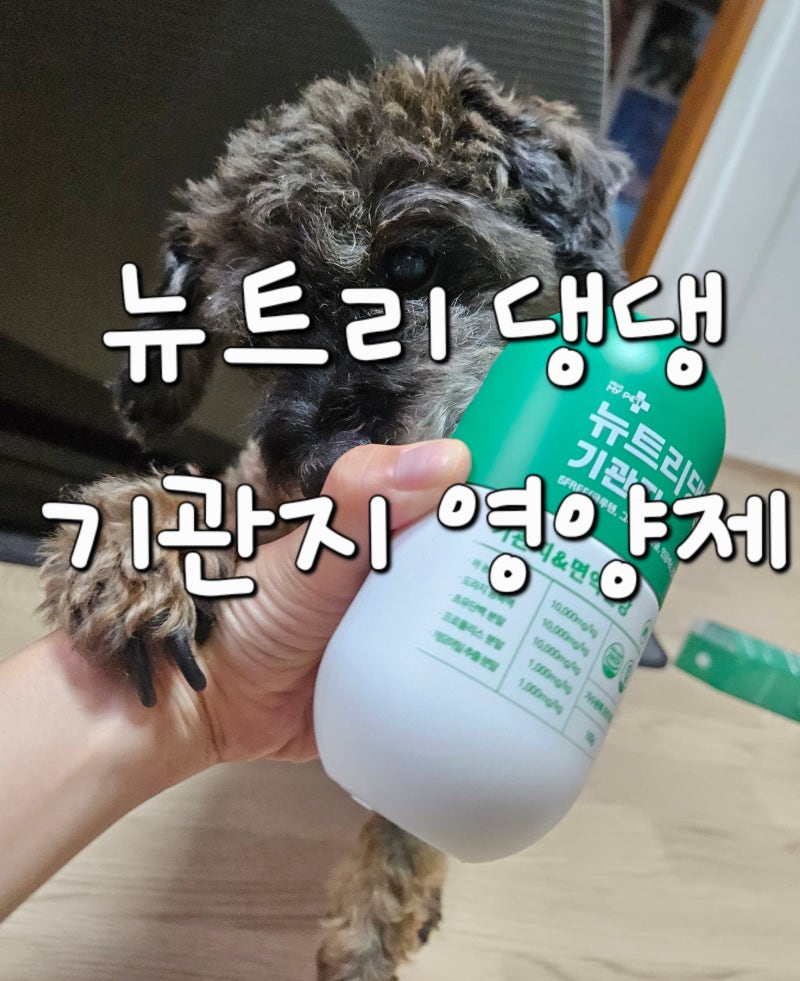 강아지 눈영양제 헬로마이펫 뉴트리댕댕(기관지)