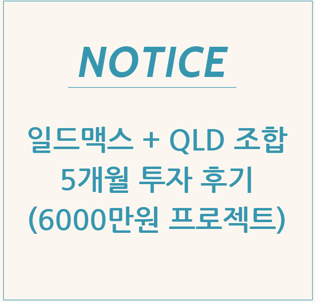  일드맥스 + QLD 조합, 5개월 투자 후기(6000만원 프로젝트 리포트)
