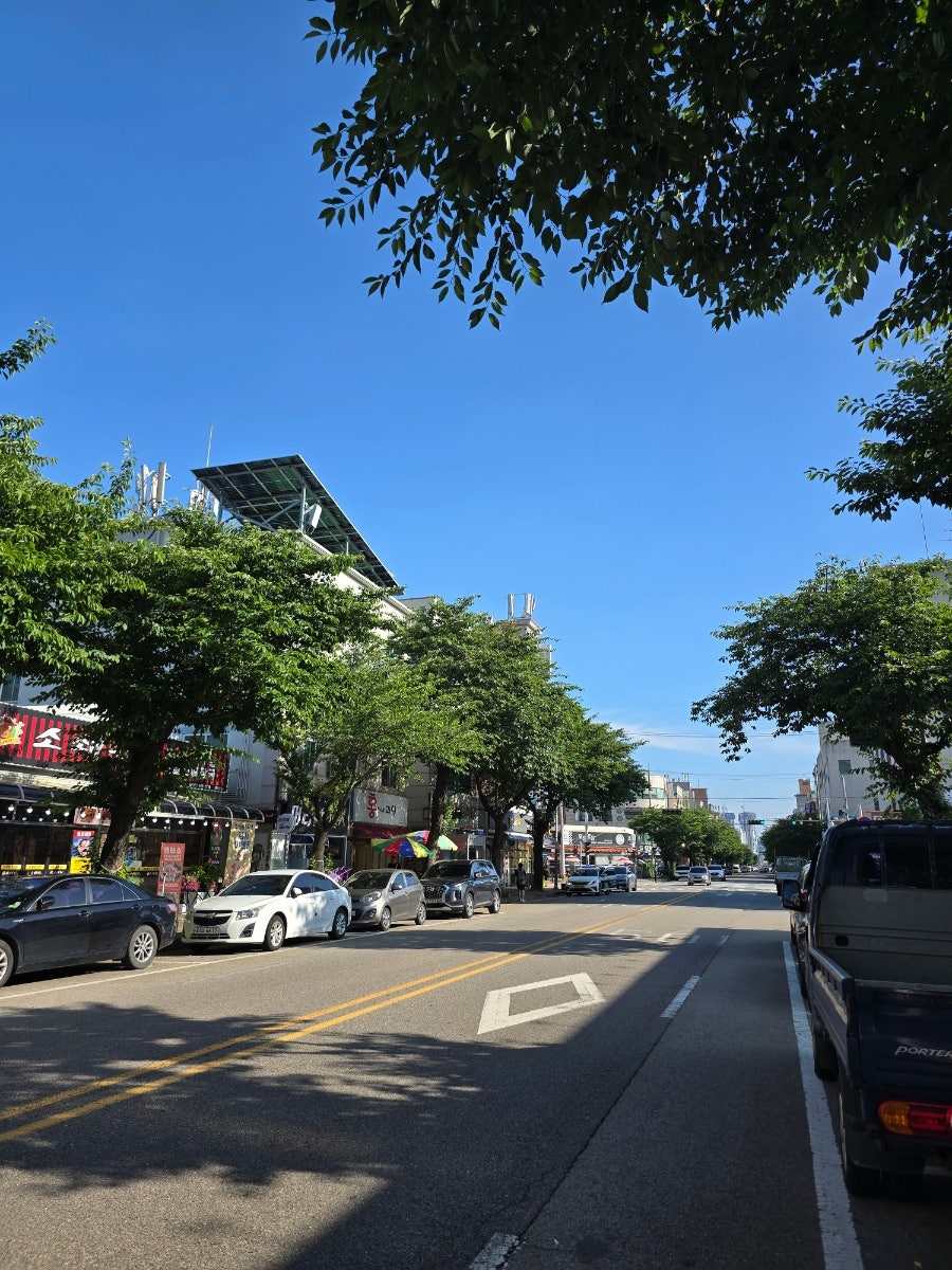 별일이네 김밥 사진 2