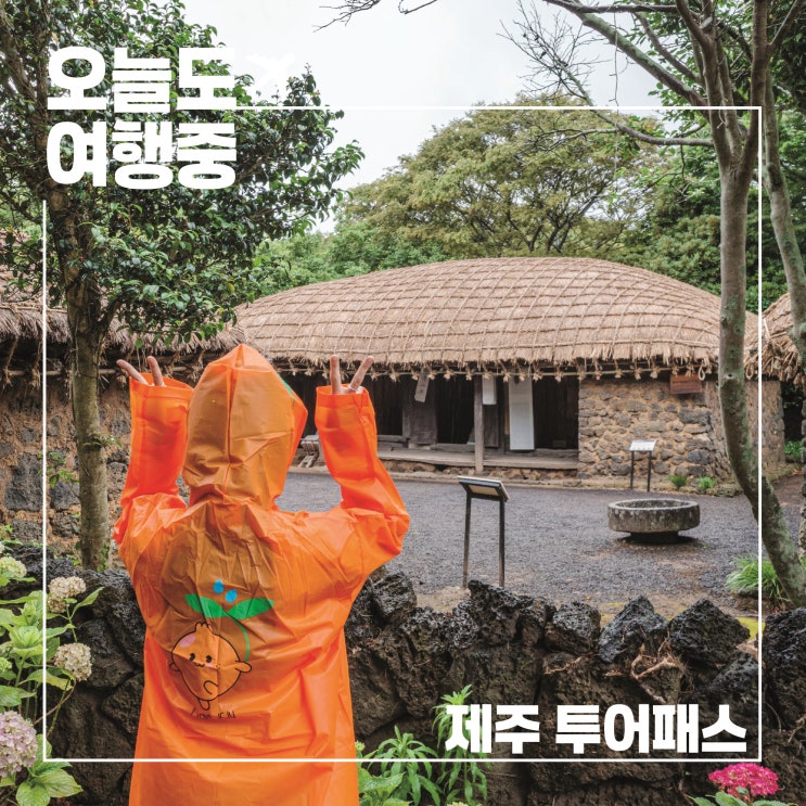  제주 여름 여행 필수템 투어패스, 내돈내산  입장료 할인 사용처 후기
