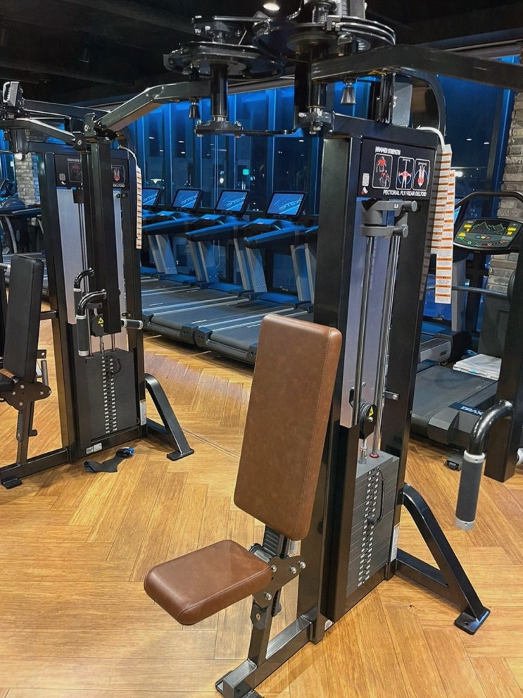  자마이카 휘트니스 서울대입구점에서 즐기는 서울대입구 헬스장 운동 경험