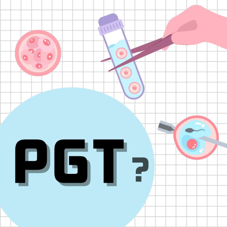 PGT 검사 비용? 과정? / Q&A 모음