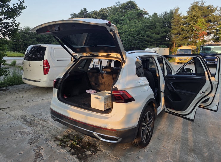  용인 실내세차 티구안 강아지 털 제거 실내크리닝 및 에바크리닝