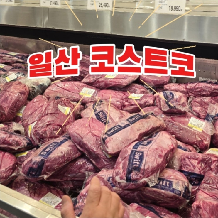  일산 코스트코 회원 카드 없이 방문하기! 코스트코 vs 이마트 트레이더스 비교