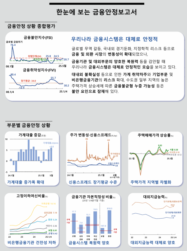  금융안정보고서 2025. 6