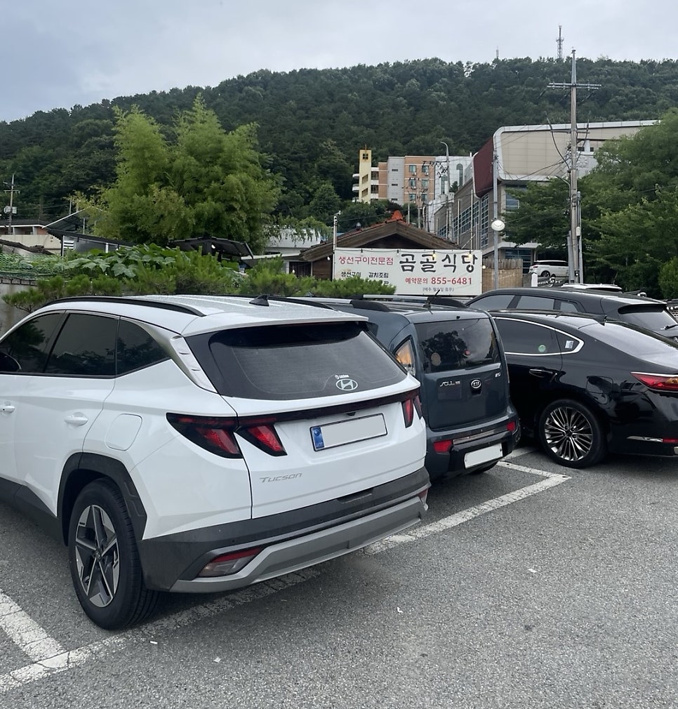 금골 사진 3