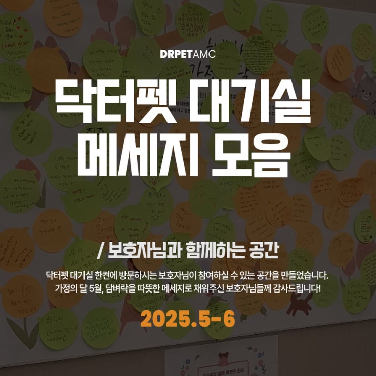  닥터펫동물의료센터 대기실 담벼락 메세지 모음 2025년 5월 부산 개금 24시 동물병원