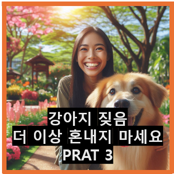 사진 5