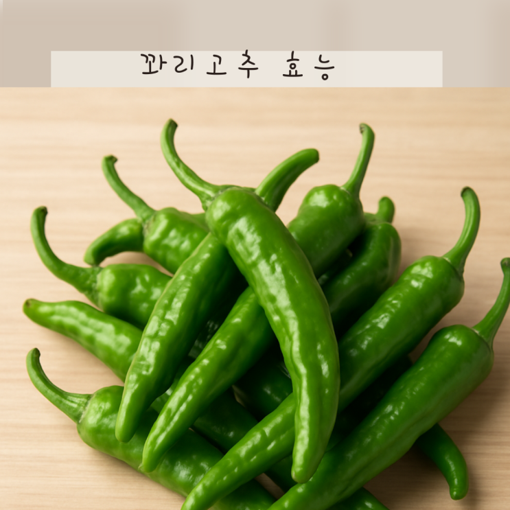 꽈리고추 효능 8가지! 칼로리 낮고 영양은 높은 채소의 매력