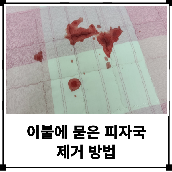 이불에 묻은 피 제거 방법 생리혈 핏자국 지우기 실전 꿀팁