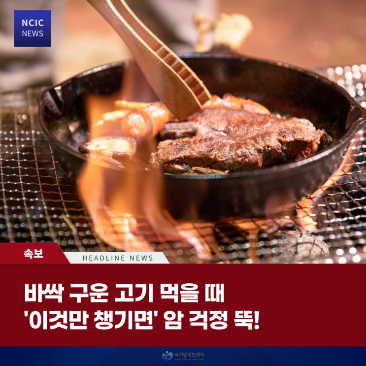  바싹 구운 고기 먹을 때 '이것만 챙기면' 암 걱정 뚝!