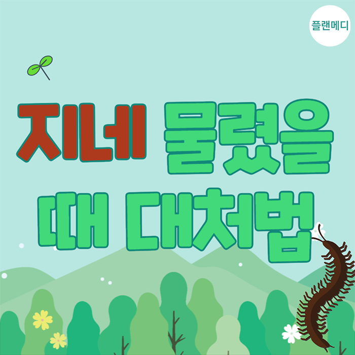 지네 물렸을때 증상,병원,약 버물리? 응급처치와 예방법 알고 나가요!