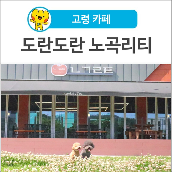 도란도란 카페 사진