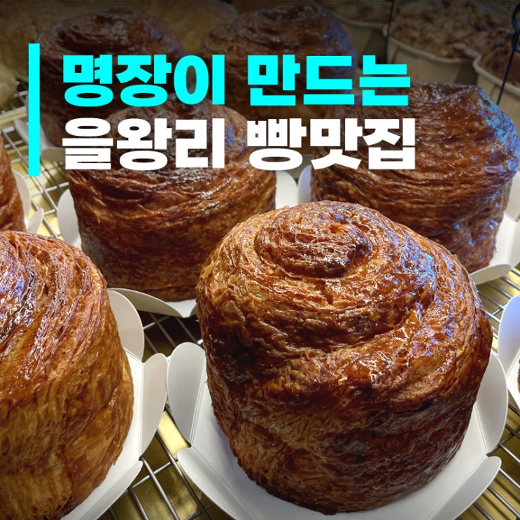  을왕리빵판다 카페 후기｜영종도 애견동반 베이커리카페 추천
