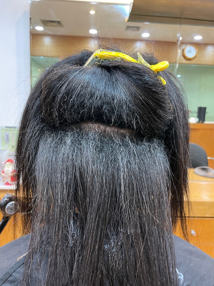  악성곱슬 그분이 오셨다 창원에서 모두긴장하라 지금은 실제상황 손상모에 망한머리망친머리 우야꼬? 부산사상구르네시떼미용실6층 사상홈플러스7층위치
