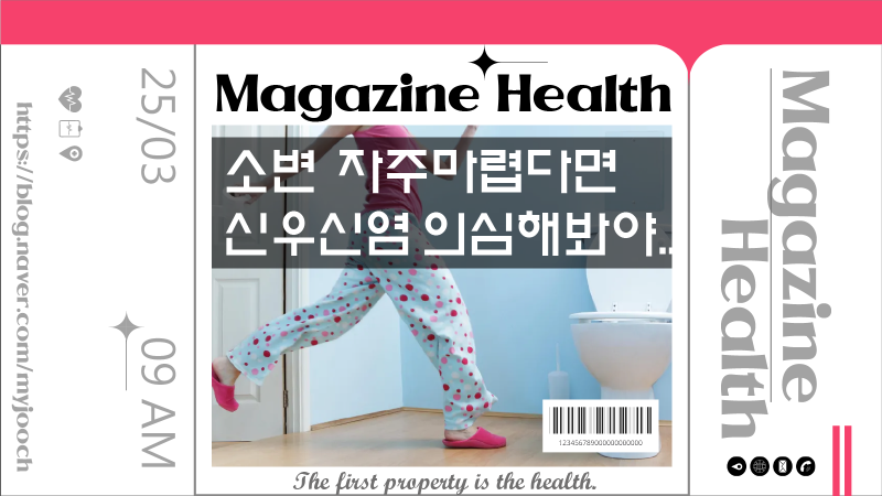 급성신우신염 증상 원인 좋은음식 5가지 먹고 관리