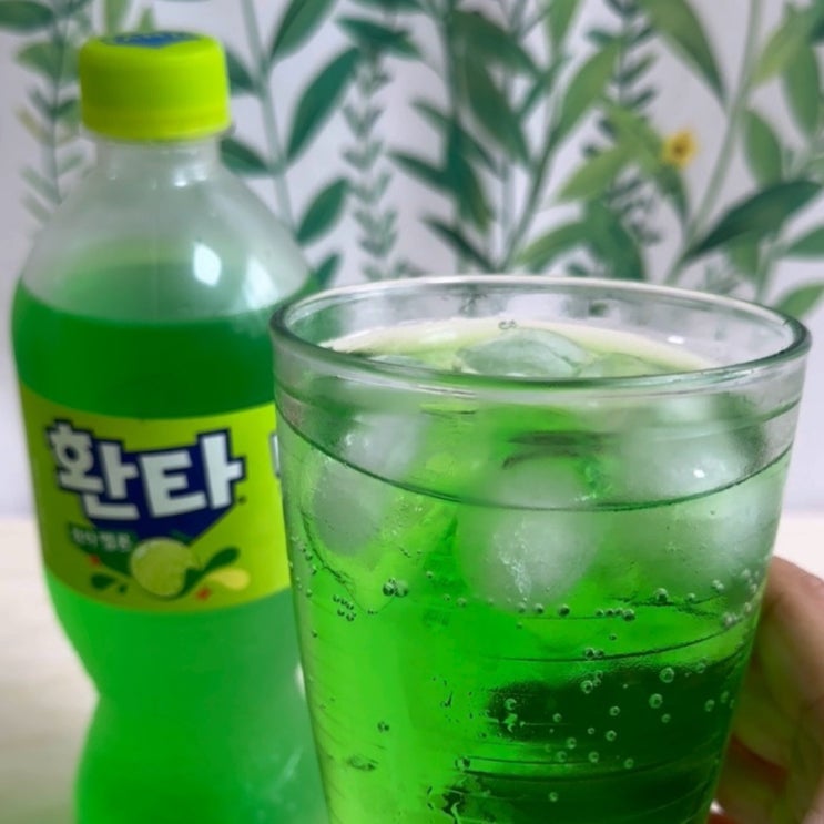   일본에서만 맛보던 그 맛?! 환타 멜론맛, 드디어 한국 상륙! 