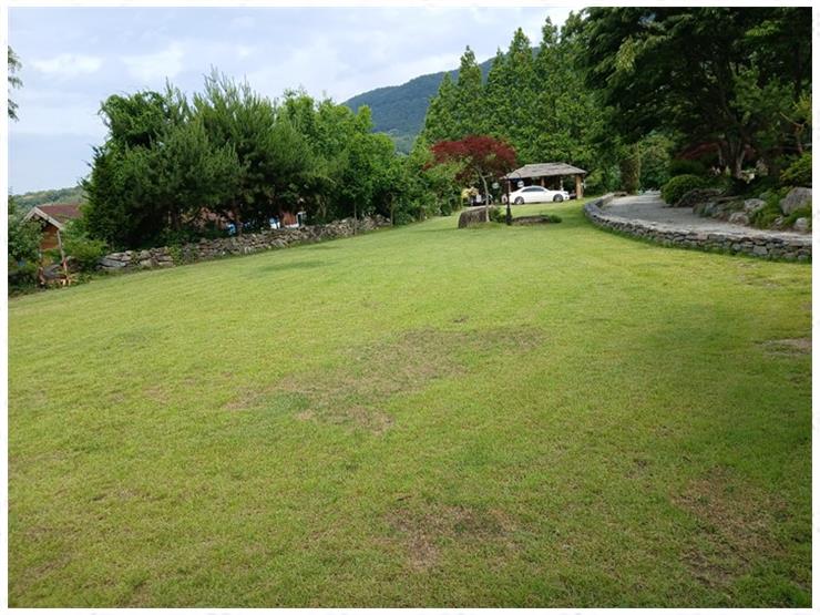 오서산동산배미펜션 사진 6