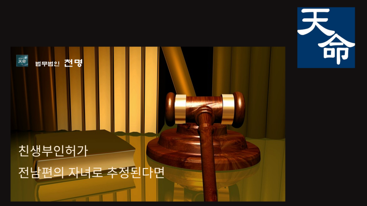 친생부인허가청구 전남편의 자녀로 추정된다면 친생부인허가청구 전남편의 자녀로 추정된다면