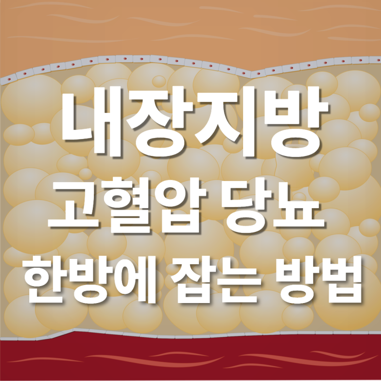  분당 한의원에 내장지방과 고혈압, 당뇨를 한방에 잡는 방법이 있어요.