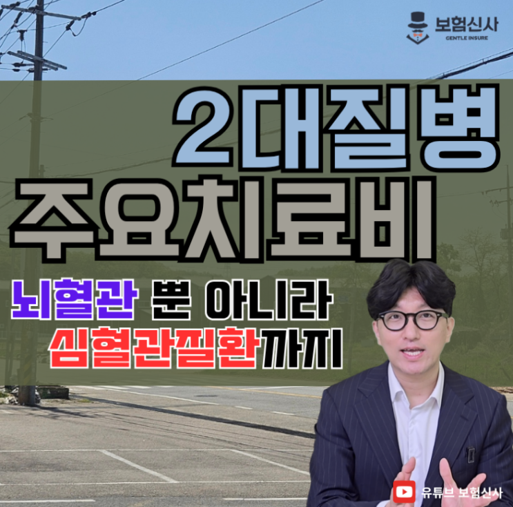  2대질병 주요치료비 뇌혈관 뿐 아니라 심혈관 질환까지