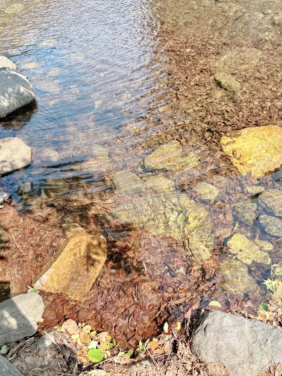 산내들유원지 사진 6