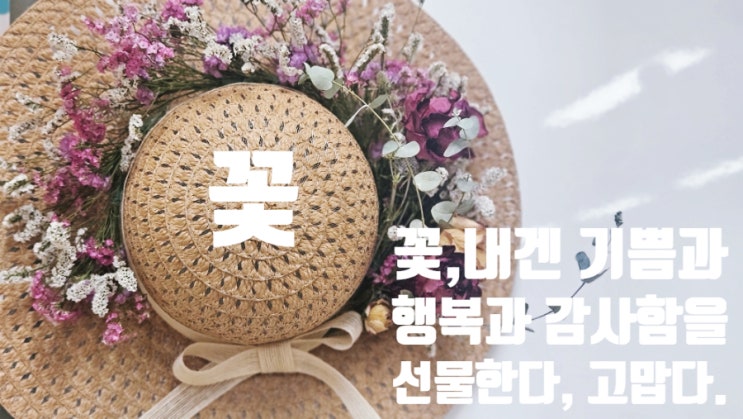  걸어 다니는 꽃 정원, 나의 모자 이야기