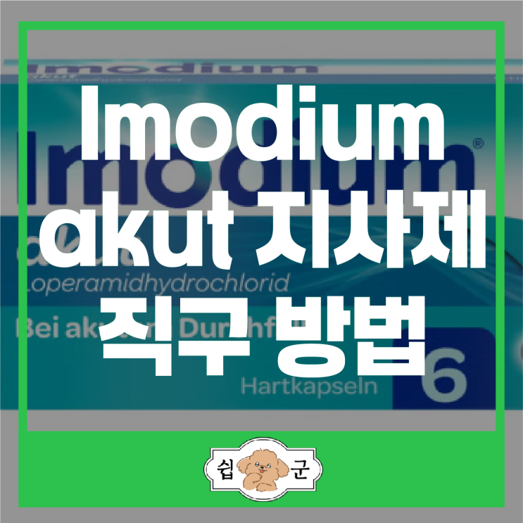  Imodium akut 이모디움 설사약 복용법 효능 지사제 사용법 직구 방법 (독일 배대지)