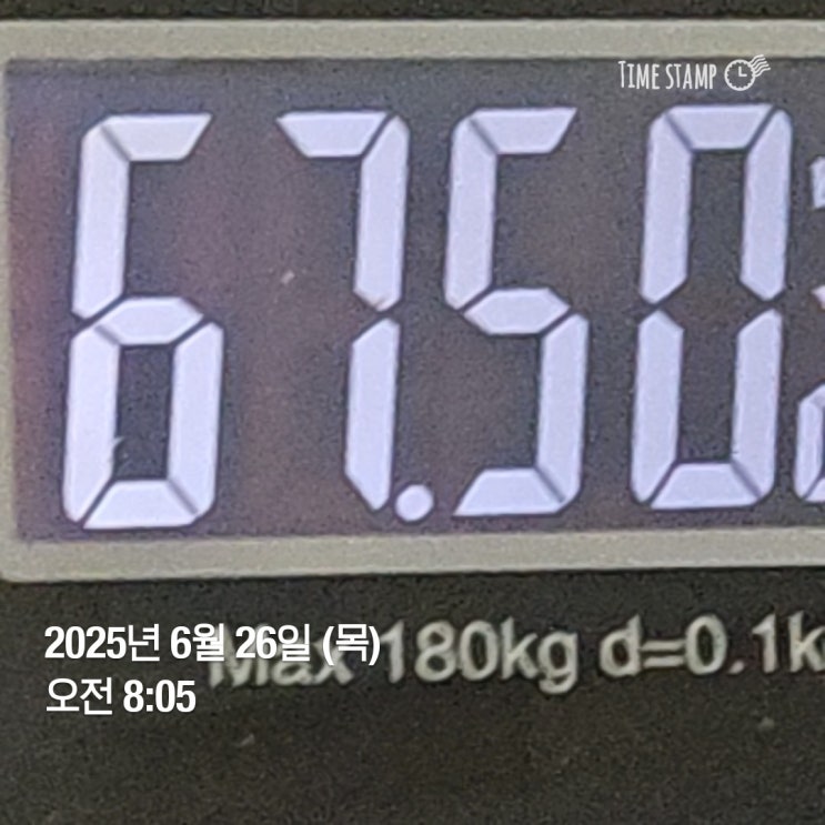  위고비 67일째 기록